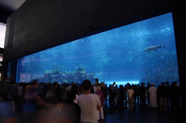 Something Unexpected