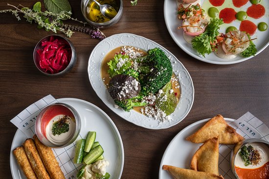 Vegan And Vegetarian Haven